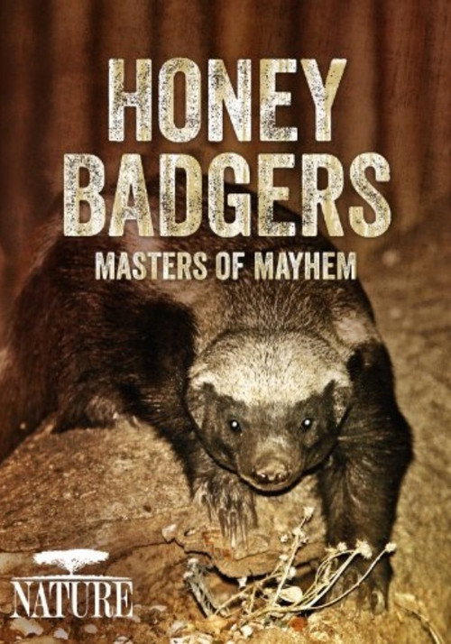 Honey Badgers: Masters of Mayhem (2014) movie poster