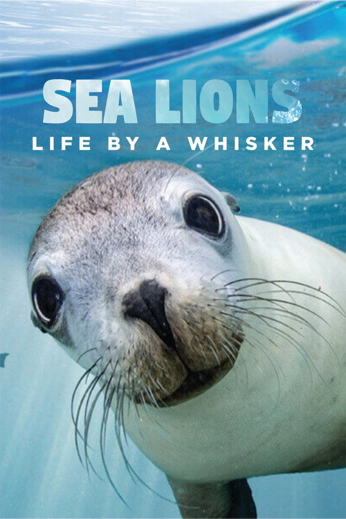 Sea Lions: Life By a Whisker (2020) movie poster