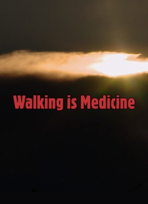 Walking Is Medicine (2017) movie poster
