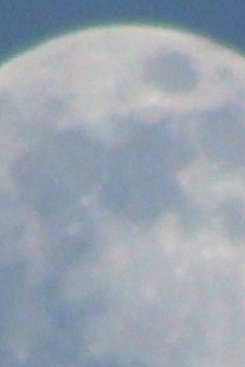 Moonwalk (2024) movie poster