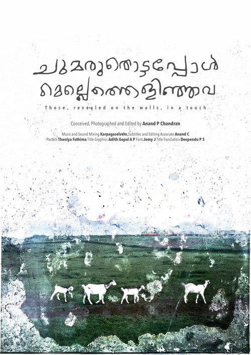 Those, revealed on the walls, in a touch (2025) movie poster