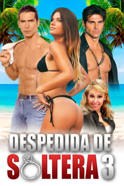 Despedida de soltera 3 (2020) movie poster