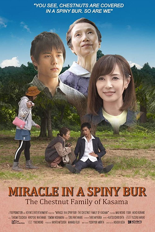 Miracle in Kasama (2018) movie poster