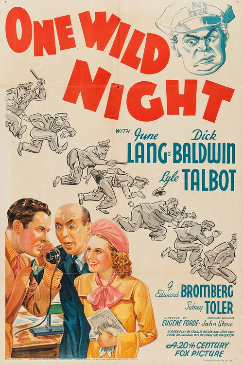 One Wild Night (1938) movie poster