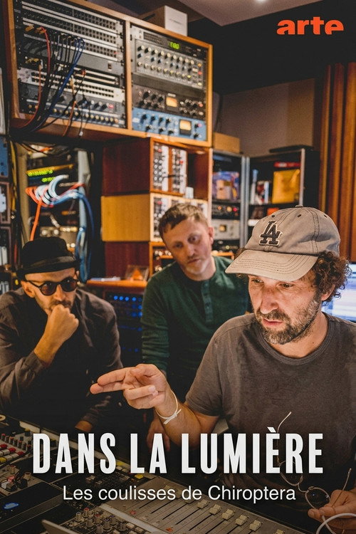 Dans la lumière - Au cœur de la création du spectacle signé JR, Damien Jalet et Thomas Bangalter (2024) movie poster