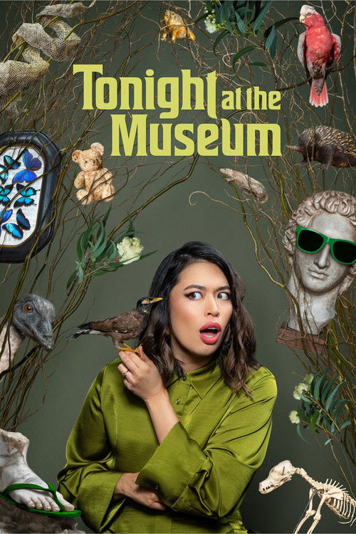 Tonight at the Museum (2026) TV show poster