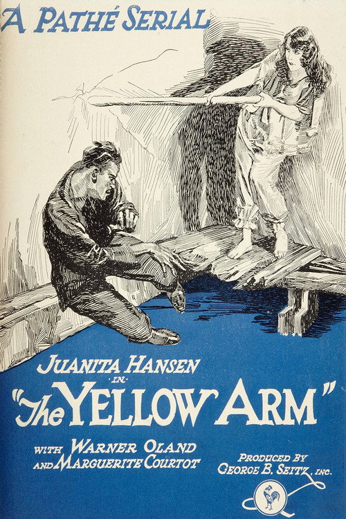 The Yellow Arm (1921) movie poster