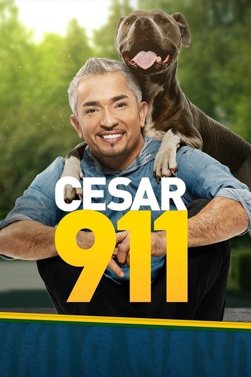Cesar 911 (2014) TV show poster