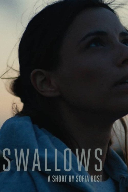 Swallows (2015) movie poster