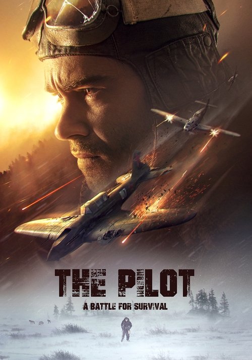 The Pilot: A Battle for Survival (2021) movie poster