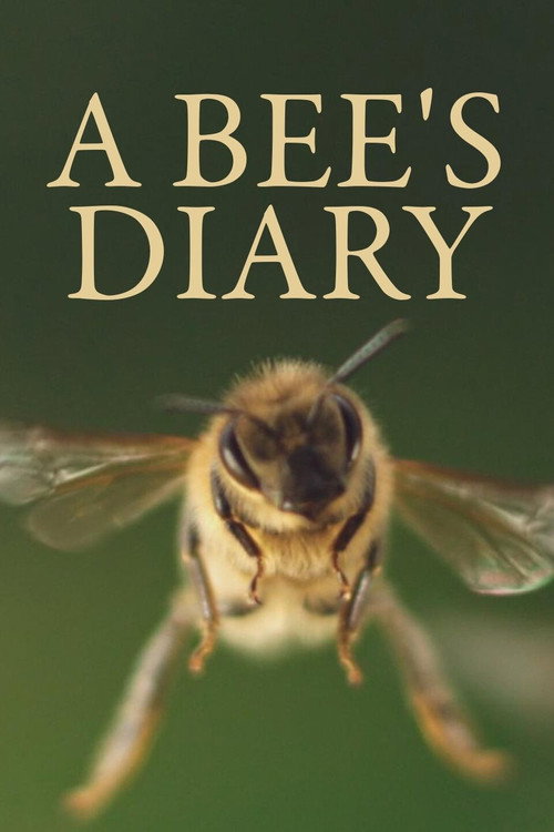 A Bee's Diary (2020) movie poster