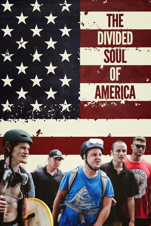 The Divided Soul of America (2019) movie poster