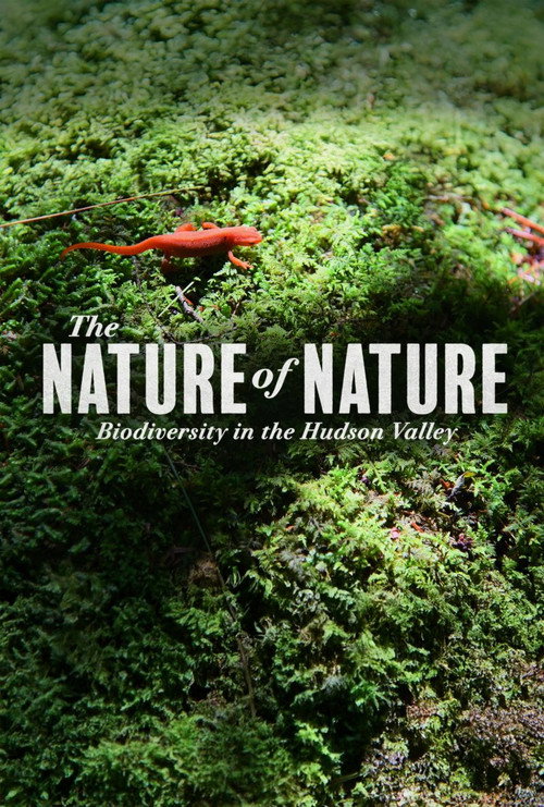 The Nature of Nature: Biodiversity in the Hudson Valley (2025) movie poster
