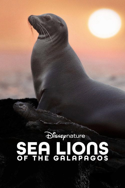 Sea Lions of the Galapagos (2025) movie poster