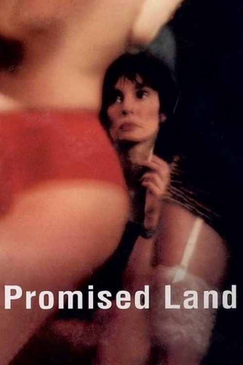 Promised Land (2004) movie poster