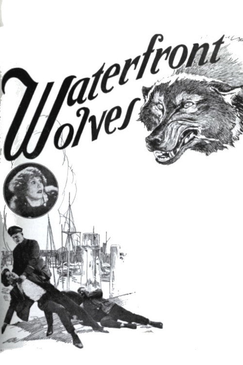 Waterfront Wolves (1924) movie poster
