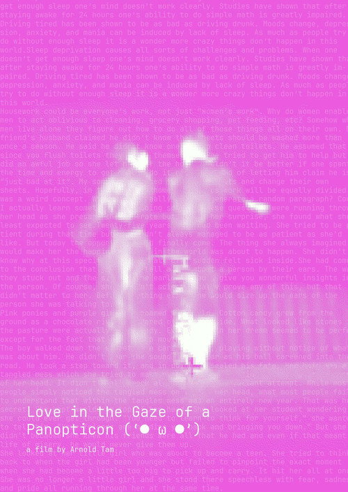 Love in the Gaze of a Panopticon (2026) movie poster
