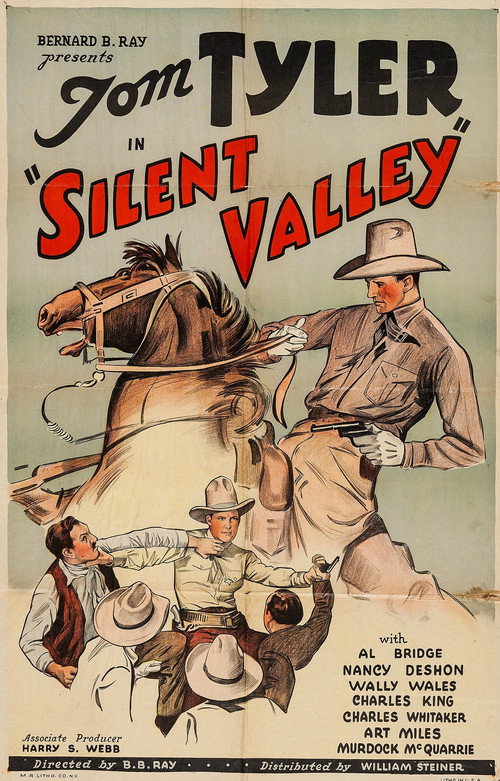 Silent Valley (1935) movie poster