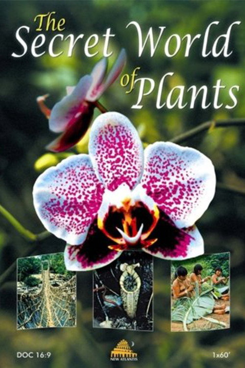 The Secret World of Plants (2003) movie poster