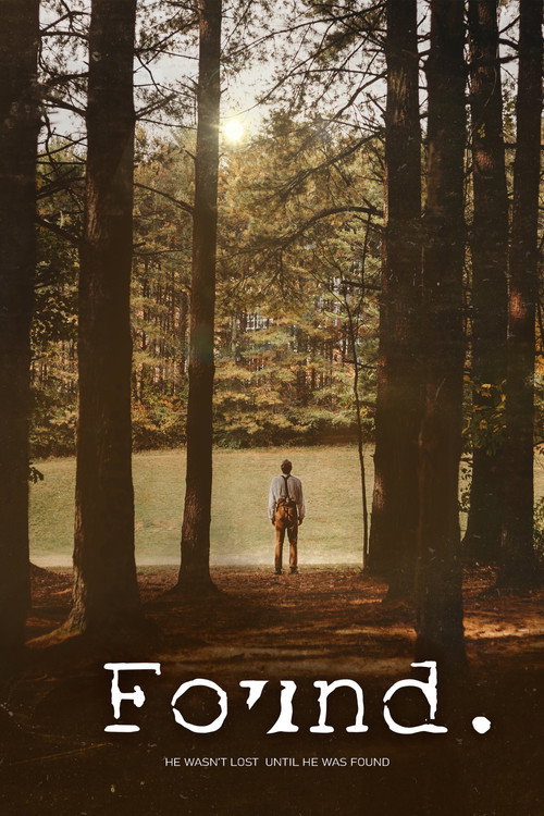 Found. (2020) movie poster