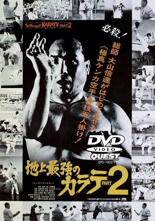 The Strongest Karate Part 2 (1976) movie poster