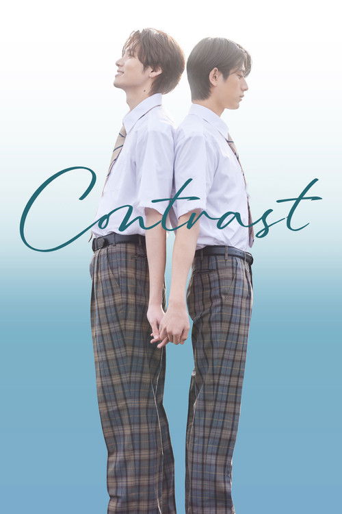 Contrast (2026) TV show poster