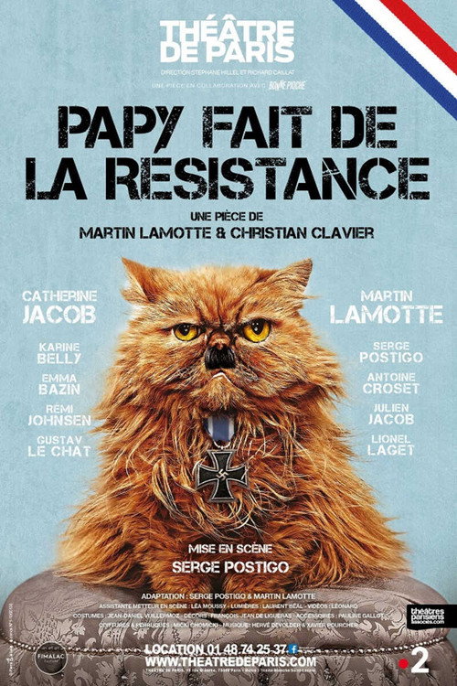Papy fait de la résistance (2021) movie poster