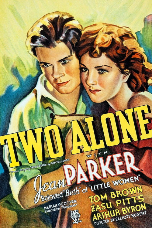 Two Alone (1934) movie poster