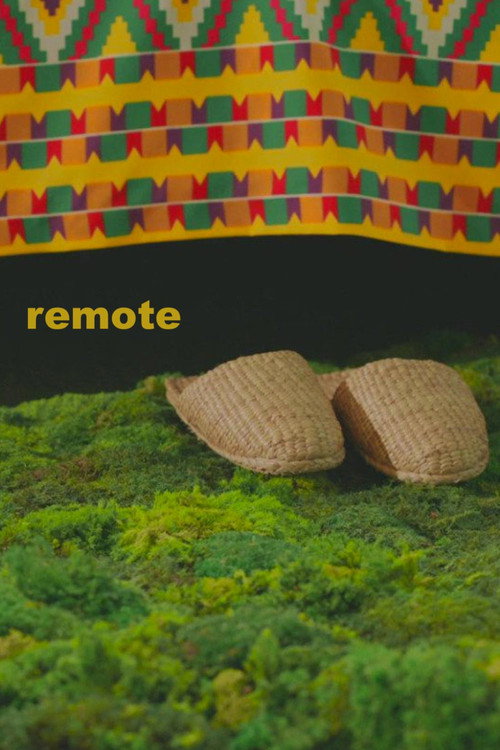 Remote (2022) movie poster