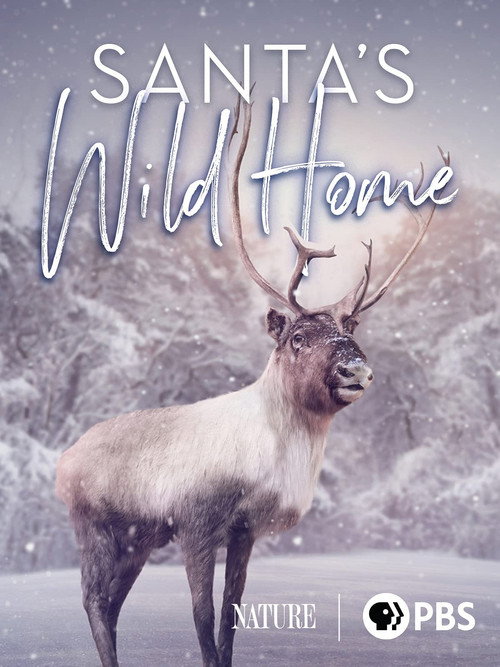 Santa's Wild Home (2020) movie poster