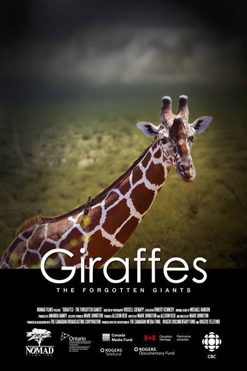 Giraffes: The Forgotten Giants (2015) movie poster