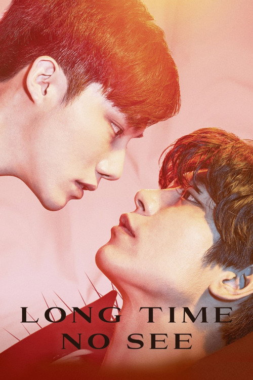 Long Time No See (2017) movie poster