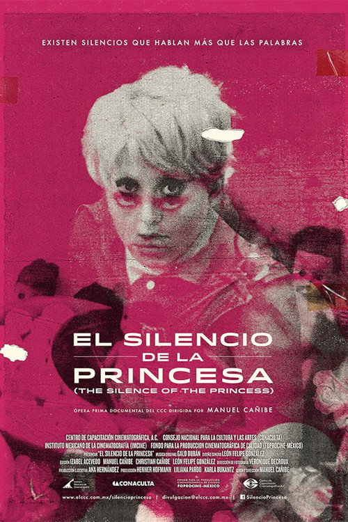 The Silence of the Princess (2014) movie poster