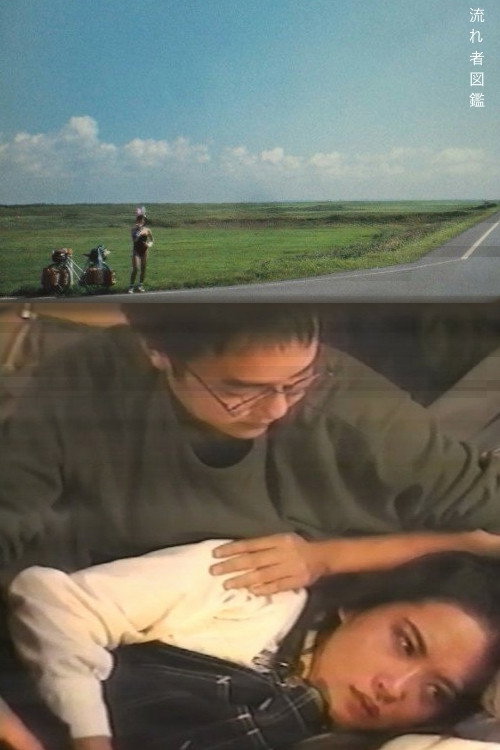 Encyclopedia of a Drifter (1998) movie poster
