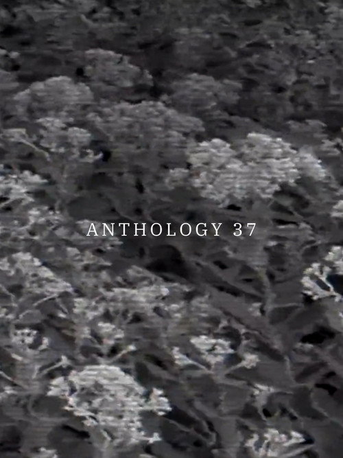 Anthology 37 movie poster