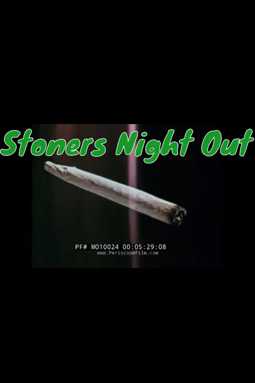 Stoner's Night Out movie poster