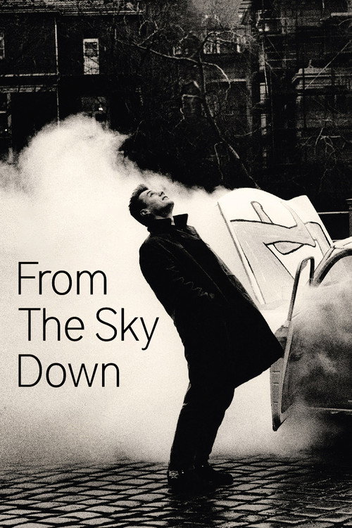 U2: From the Sky Down (2011) movie poster