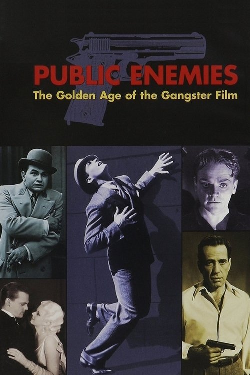 Public Enemies: The Golden Age of the Gangster Film (2008) movie poster