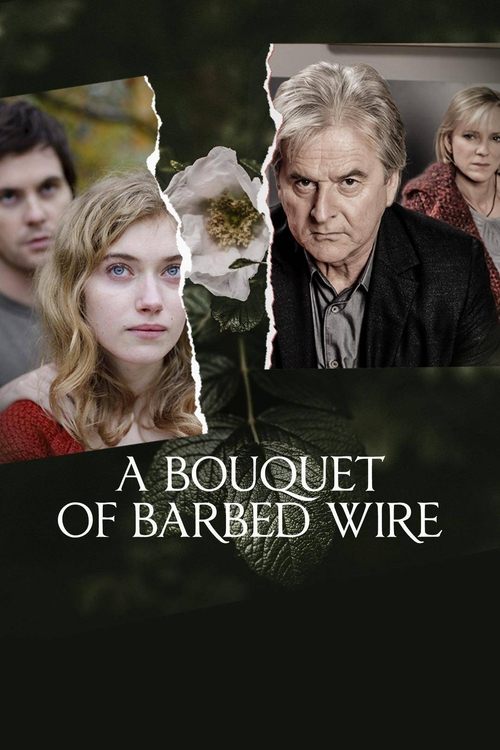 Bouquet of Barbed Wire (2010) TV show poster