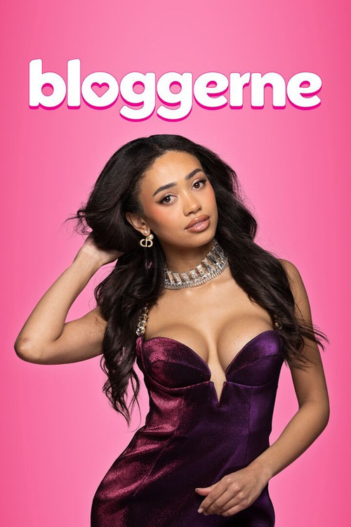 Bloggerne (2014) TV show poster
