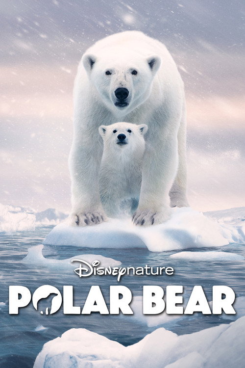 Polar Bear (2022) movie poster