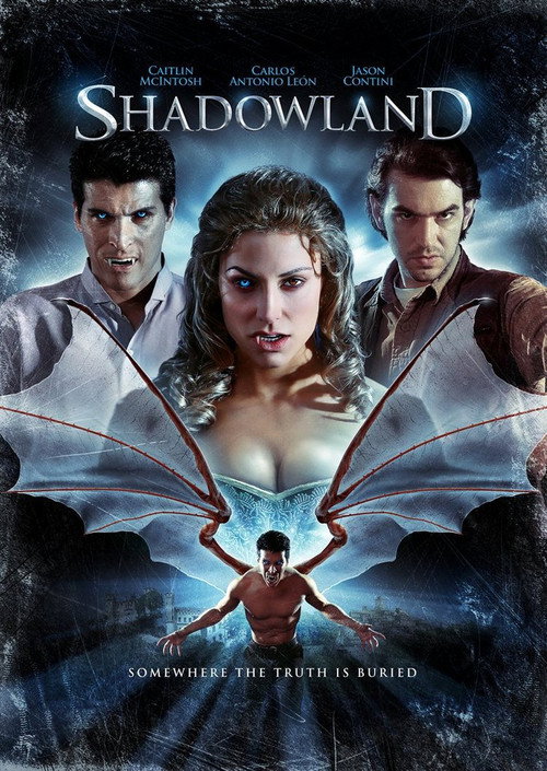 Shadowland (2010) movie poster