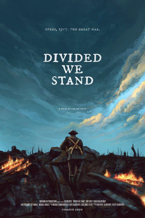 Divided We Stand (2020) movie poster