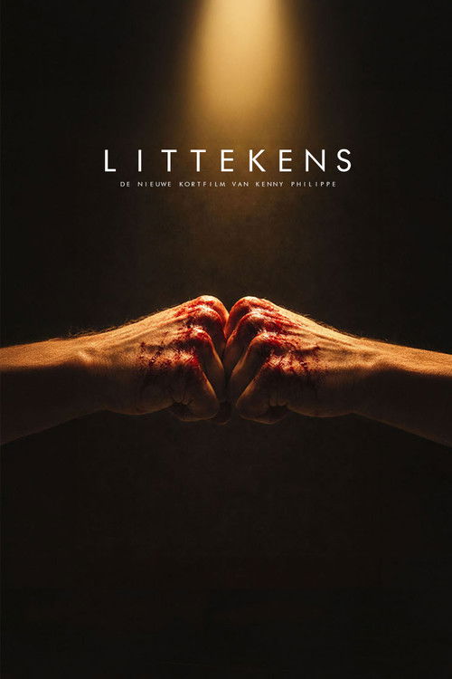Littekens (2027) movie poster