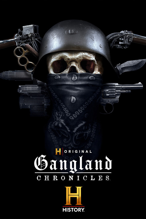 Gangland Chronicles (2024) TV show poster