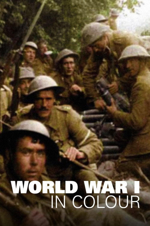 World War I in Colour (2003) TV show poster