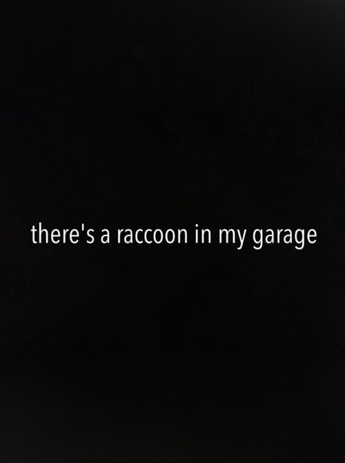 There's a Raccoon in My Garage (2024) movie poster