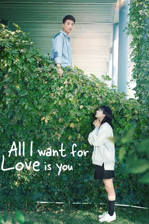 All I Want for Love is You (2019) TV show poster
