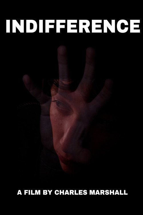 Indifference (2026) movie poster