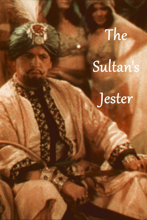 The Sultan's Jester (1930) movie poster